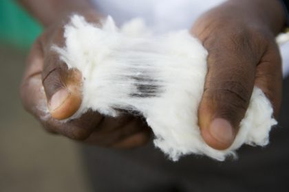 "Sustainability" - More than just a trend word in African Cotton. It's Sustainable cultivation of cotton