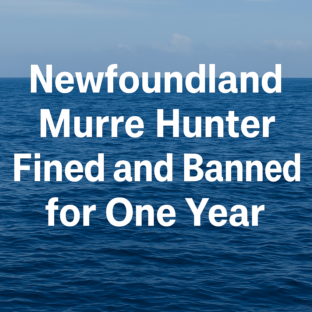 Headline-style image showing calm ocean water with the text “Newfoundland Murre Hunter Fined and Banned for One Year” in bold white letters over a blue sea backdrop.