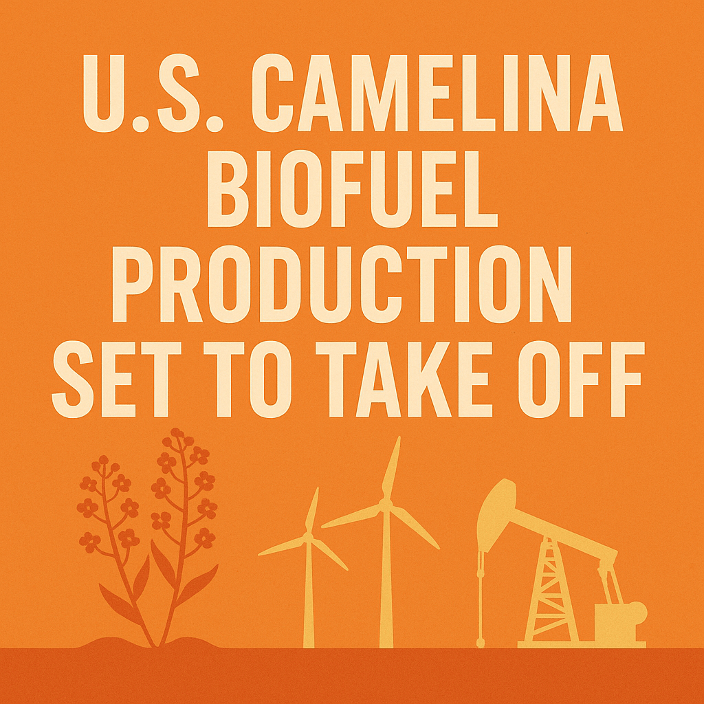 Infographic featuring camelina plants, wind turbines, and an oil pump with bold text stating “U.S. Camelina Biofuel Production Set to Take Off” on an orange background.