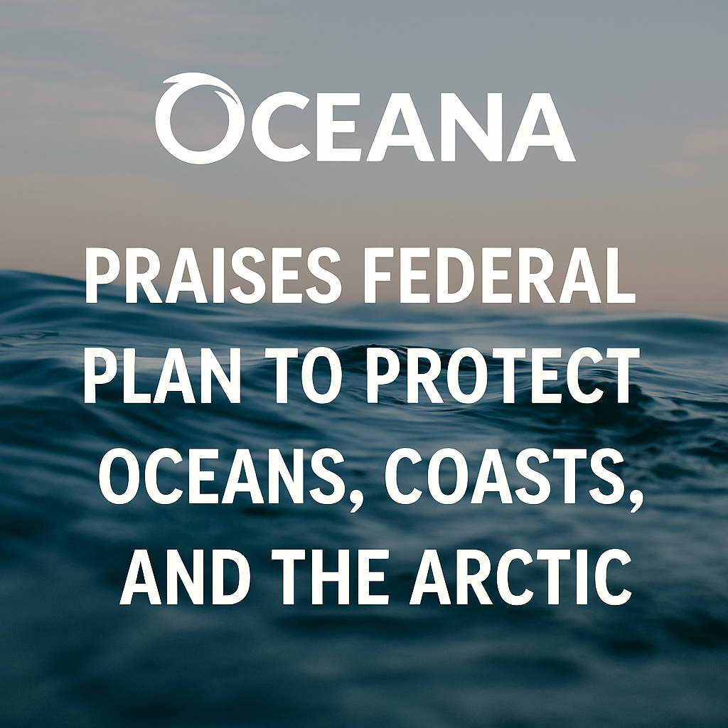 Digital graphic with an ocean horizon and the text “Oceana Praises Federal Plan to Protect Oceans, Coasts, and the Arctic” displayed above the waterline.