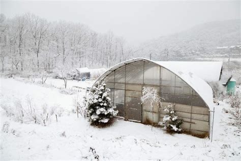 A snow‑covered greenhouse in winter, glass roof frosted over—suggesting the warmth inside.
