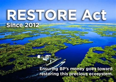 Aerial view of coastal wetlands with winding waterways and lush green vegetation, representing Gulf Coast ecosystems impacted by oil spills.