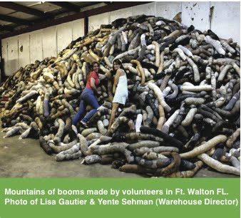 A huge International Natural Fiber Recycling mobilization took place to help get hair boom to the Gulf Coast Spill. We had 19 donated warehouses spread along Alabama, Mississippi, Louisiana and Florida that received hair, fur, fleece & nylons from donors all over the U.S., Canada and 30 other countries! Thousands of volunteers signed up to have Stocking Stuffers and Bar B Q parties where they made the boom. Amanda Bacon in Alabama created the term “Boom B Qs.”