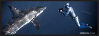 Free Diver and Shark researcher William Winram's