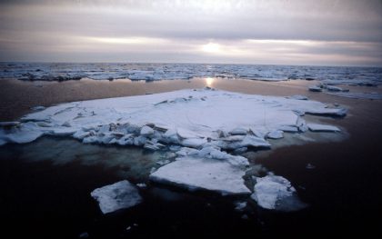 WWF Agrees Shell plan to Drill Arctic Wrong