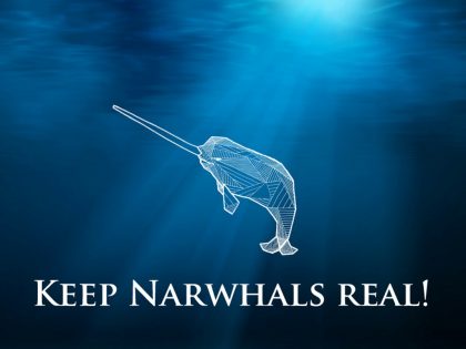 Narwhals are the ‘Unicorns of the Sea’ and They’re in Serious Danger. We Can Help.