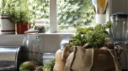 Green living moms survey with influence central