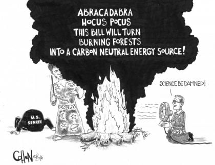 Senator Collins’ Biomass Amendment Transforms Burning Forests to a Carbon Neutral Fuel Source