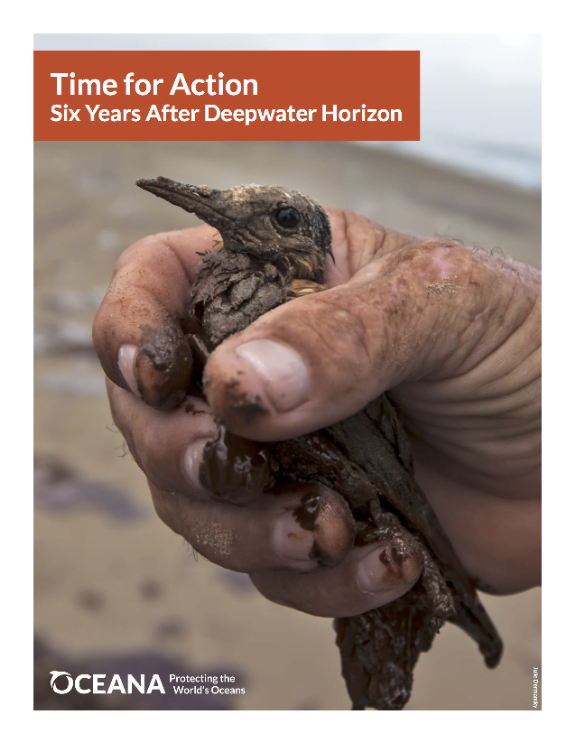 New Oceana Report Highlights Long-Term Impacts of Deepwater Horizon Oil Disaster