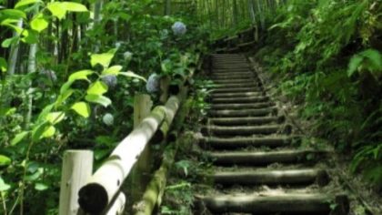 Seth’s intention is to educate and assist individuals, corporations and government offices on how to “Go Green” and provide their communities with Green opportunities.