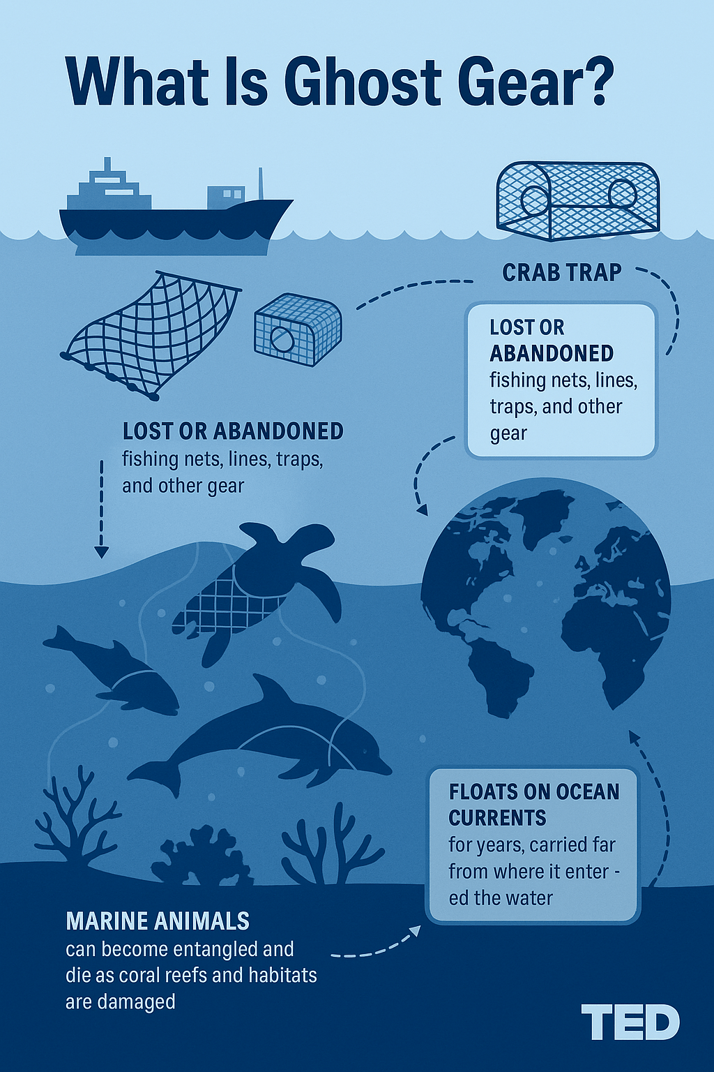 Infographic titled “What Is Ghost Gear?” showing how lost fishing equipment harms marine life and ecosystems.