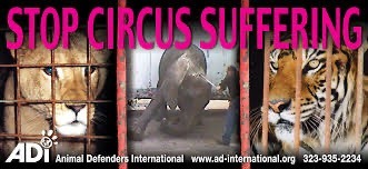 No more animal suffering