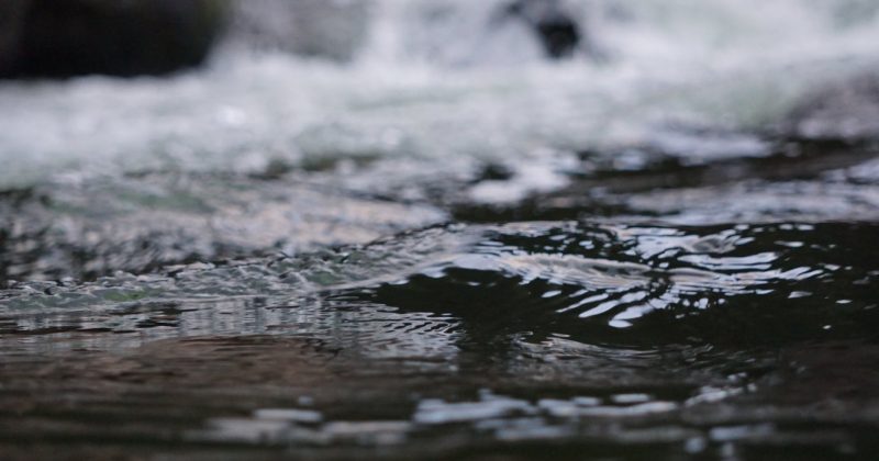 macro photo of water flow
