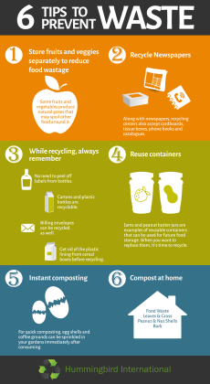 Infographic on Waste Plus Recycling Disposal Methods