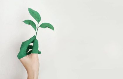 Carbon Reduce Footprint: Easiest Ways