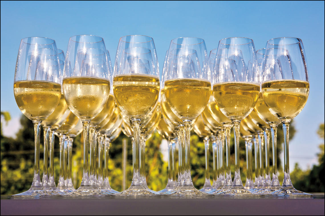 Wine certificate course