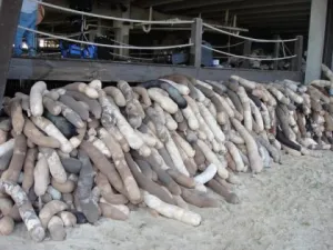 Matter of trust. BP CEO. OIL SPILL